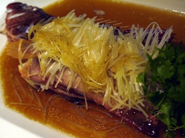 Ǭ��������