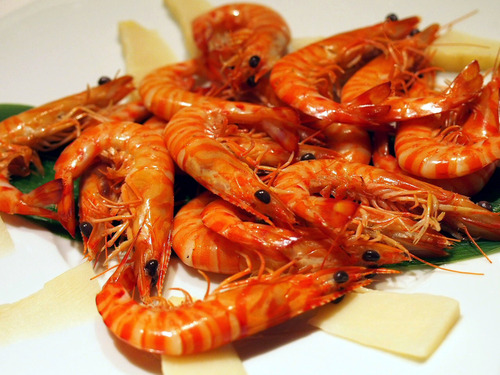 �ֳ�Ϸ�������