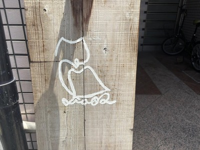 505782872_23941957718756764_1093323186492633272_n