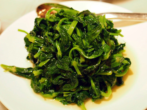 豆苗