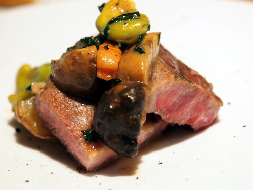 �ӥ�������