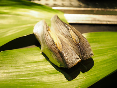 P3250073