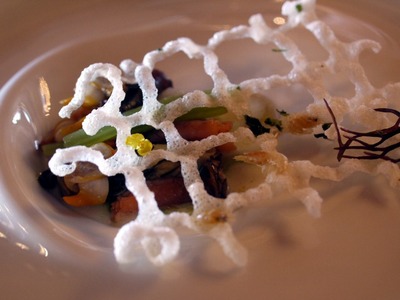 ���դ��֤���Ρ�����