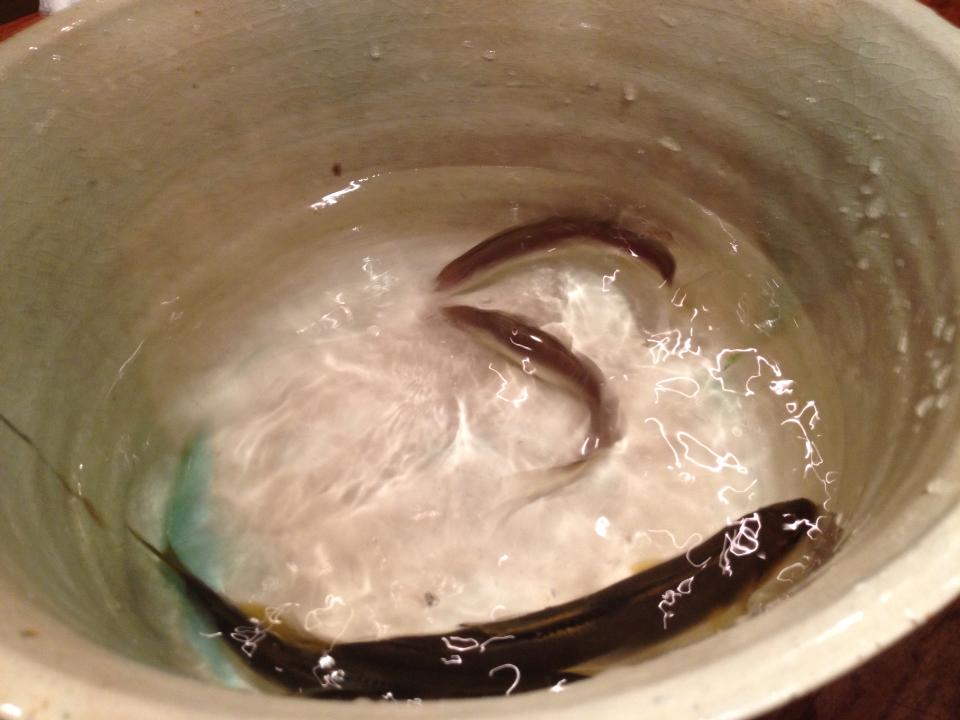 ロン ｓ 気ままな食ライフ日記 松川 赤坂