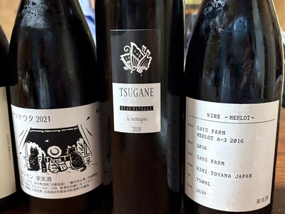 495497844_9988987837813654_5983292841793591664_n