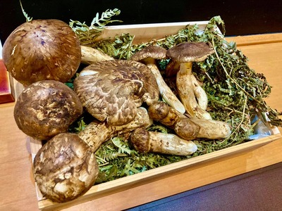 242799838_4437458219633338_7458063064324021440_n