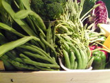 新鮮なお野菜達