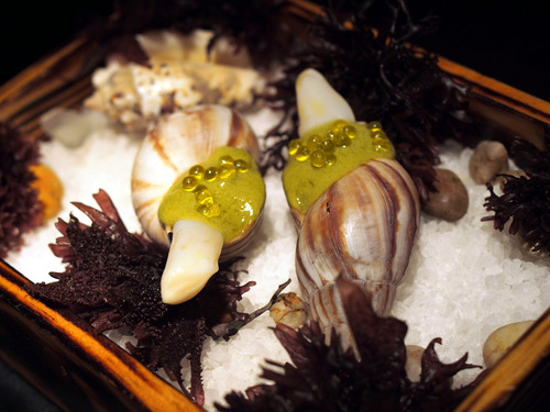 ���꡼�֥���ӥ�