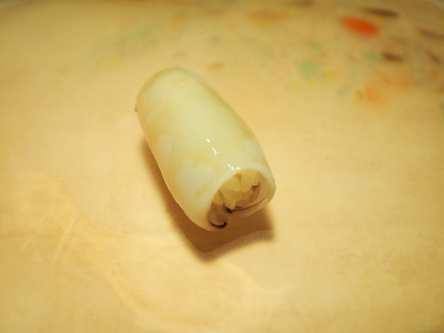 P9060097