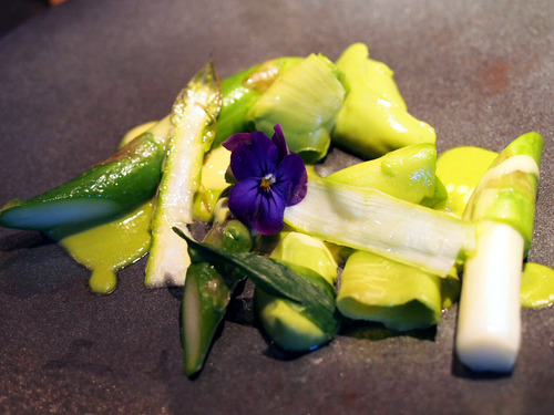 ���꡼�󥢥��ѥ�ȥ��ܥ���