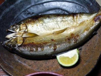 ���γ���