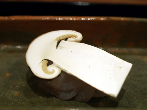 �����ɤ�