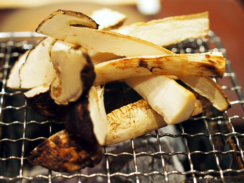 �����Ƥ�