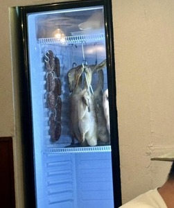 497648322_23941958032090066_3780719968856563524_n