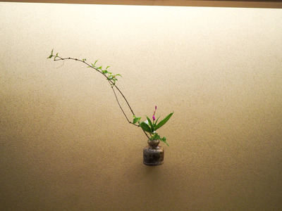 P4080016