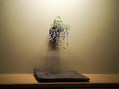 P4240040