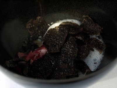 ���㤬����Υ˥�å�