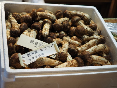 P9260385
