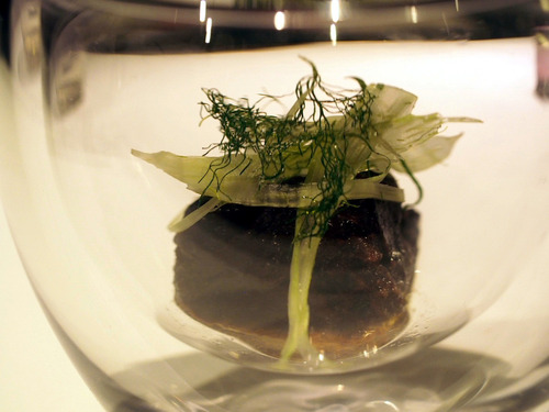 ���祳��ե������