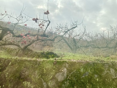 325650565_577320507637631_4839465716129801446_n