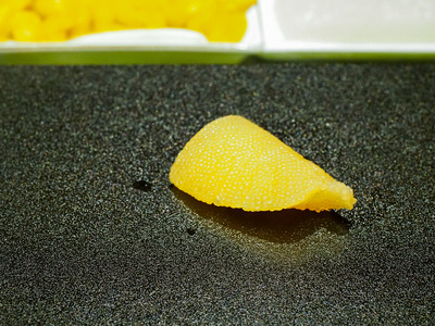 P6150132