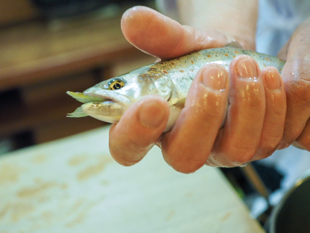 ロン s 気ままな食ライフ日記 味 らく山 京都 ロン s 気ままな食ライフ日記 味 らく山 京都