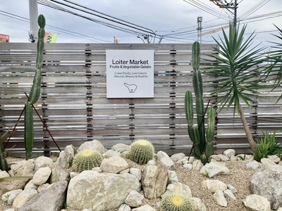 348591270_6498286713550468_9048090164053471858_n