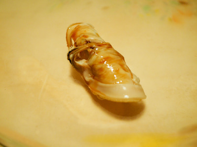 P9060098