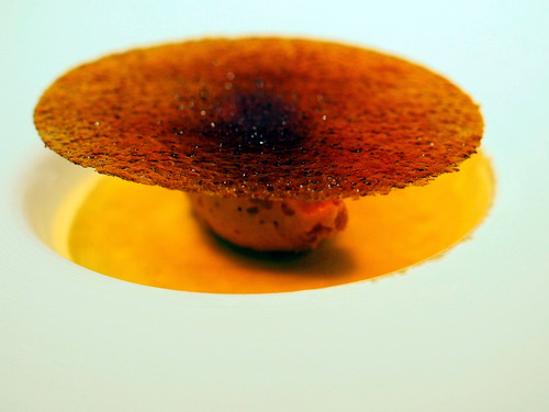 �·��Υ��졼��֥���