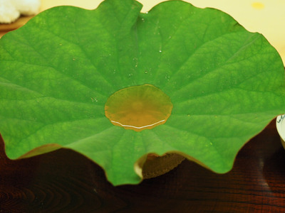 P6080136