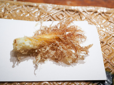 P6100031