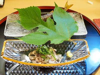 P6210157