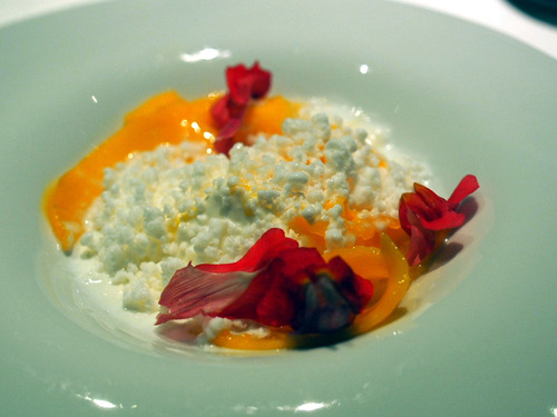 �ޥ󥴡��ȥ֥�ޥ󥸥�