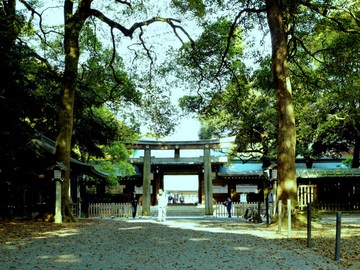 明治神宮