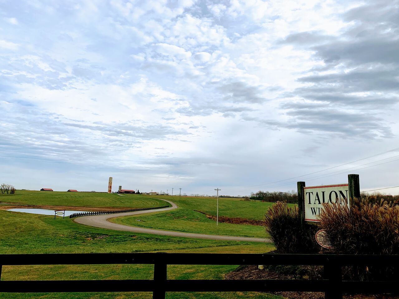 ケンタッキー州 ワイナリー巡り Talon Winery 商社マンのアメリカ駐在日記 ケンタッキー州