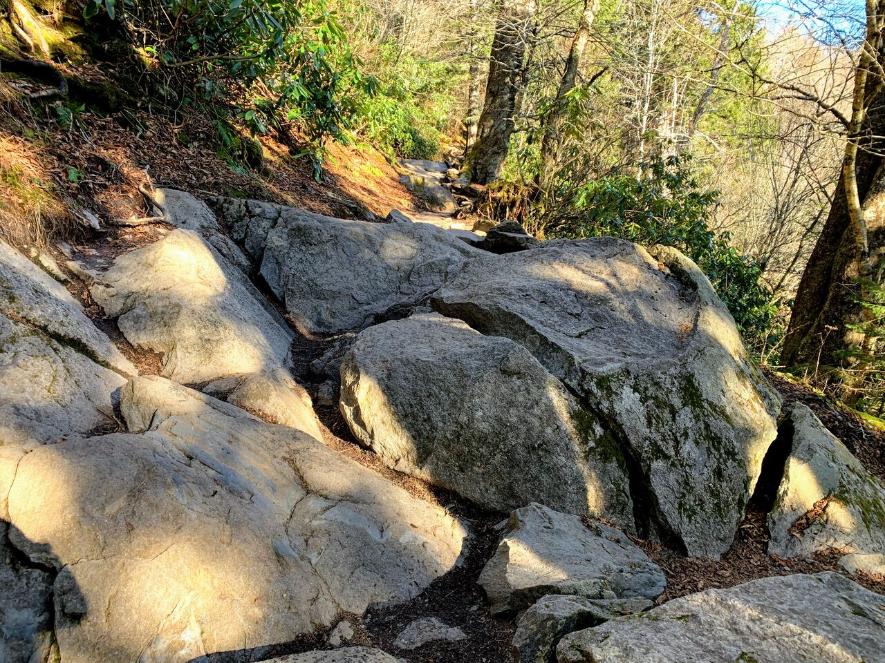 全米で一番人気の国立公園 グレートスモーキーマウンテンへ 商社マンのアメリカ駐在日記 ケンタッキー州 全米で一番人気の国立公園 グレートスモーキーマウンテンへ 商社マンのアメリカ駐在日記 ケンタッキー州