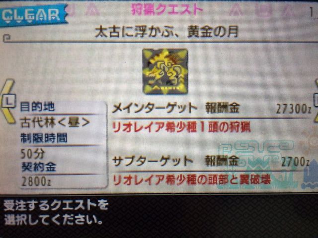 W 獰猛金レイア絶対殺すマン装備 W らんらん日和