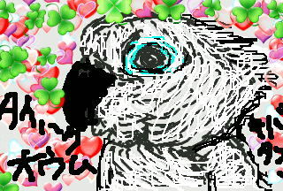 ヨウムとオウムイラスト特集 柚子蘭譚公式blog時の記憶創作ハーブ菜園倶楽部 ヨウムとオウムイラスト特集 柚子蘭譚公式blog時の記憶創作ハーブ菜園倶楽部