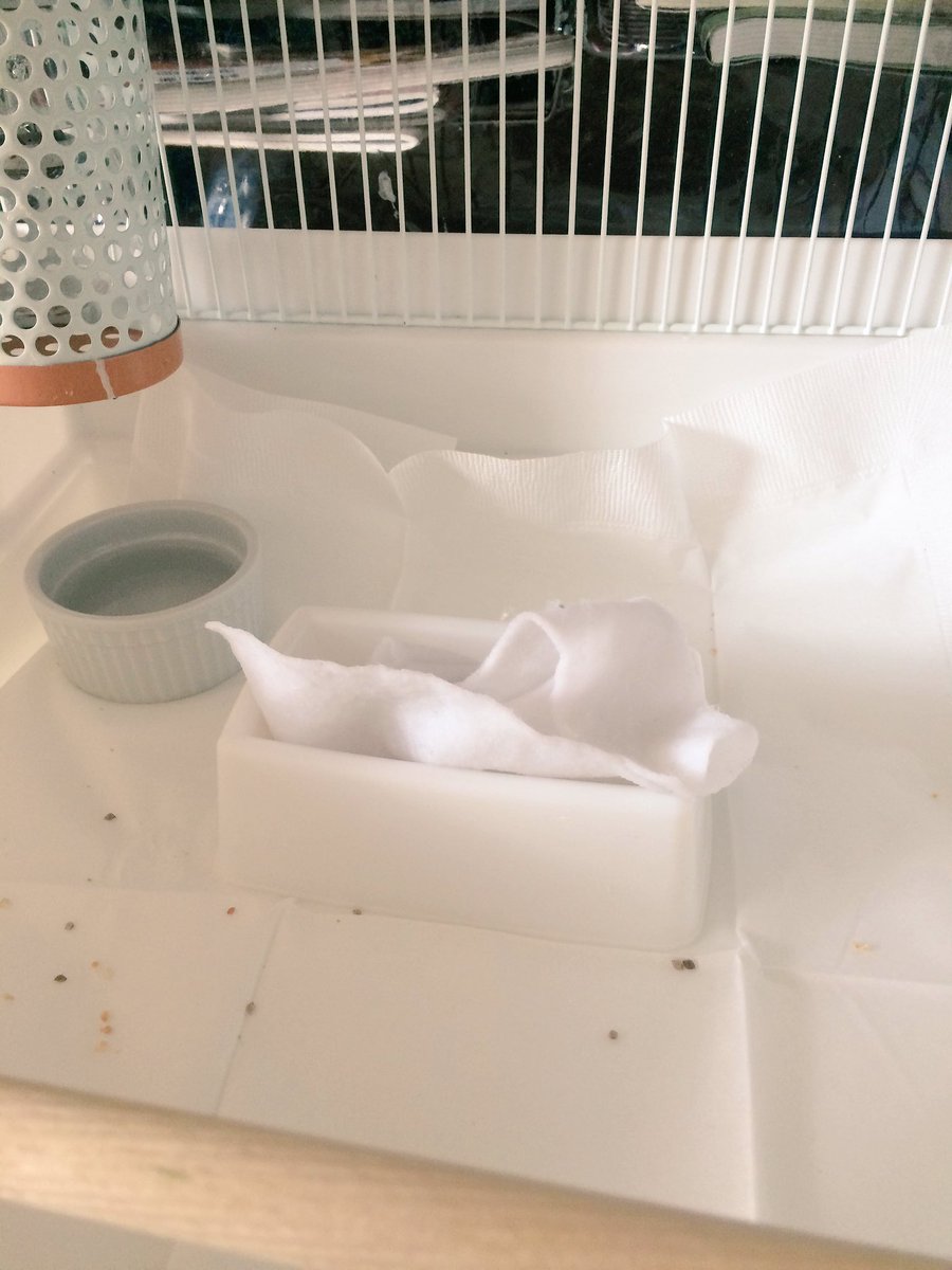 文鳥用ケージの冬場の湿度管理 文鳥雑記