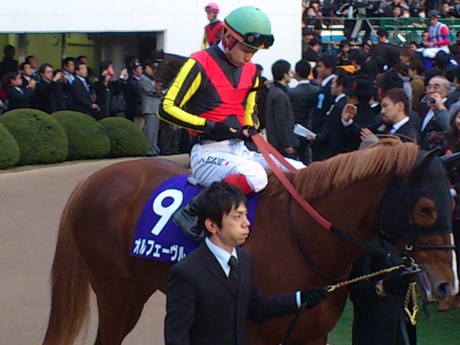 海外競馬 オルフェーヴル スミヨン騎手で凱旋門賞へ 毎日更新 予想から回顧まで 競馬総合メルマガ 2中山3 ブログ版 海外競馬 オルフェーヴル スミヨン騎手で凱旋門賞へ 毎日更新 予想から回顧まで 競馬総合メルマガ 2中山3 ブログ版