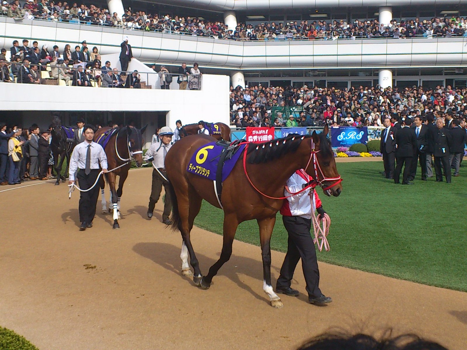 毎日更新 予想から回顧まで 競馬総合メルマガ 2中山3 ブログ版 画像 毎日更新 予想から回顧まで 競馬総合メルマガ 2中山3 ブログ版 画像