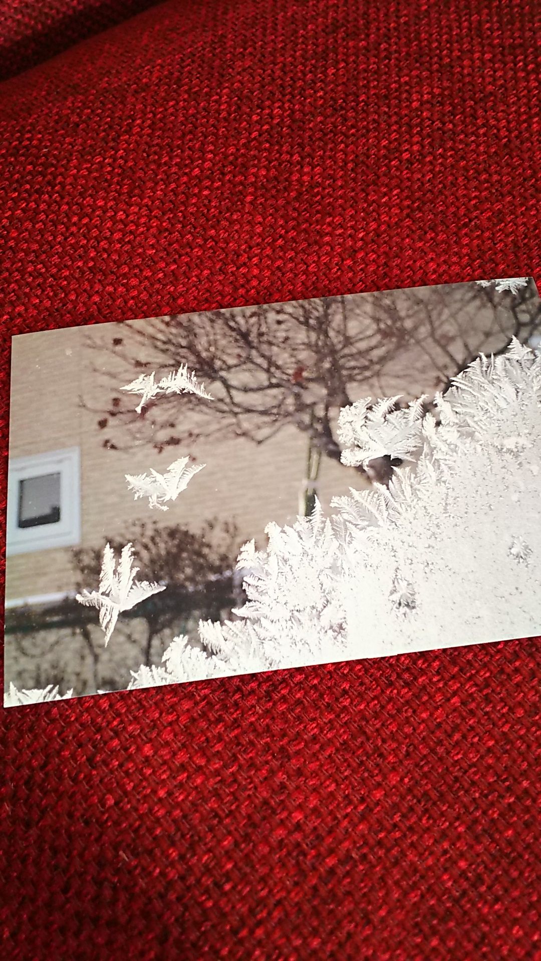 なにから始めようかな ふうぷ