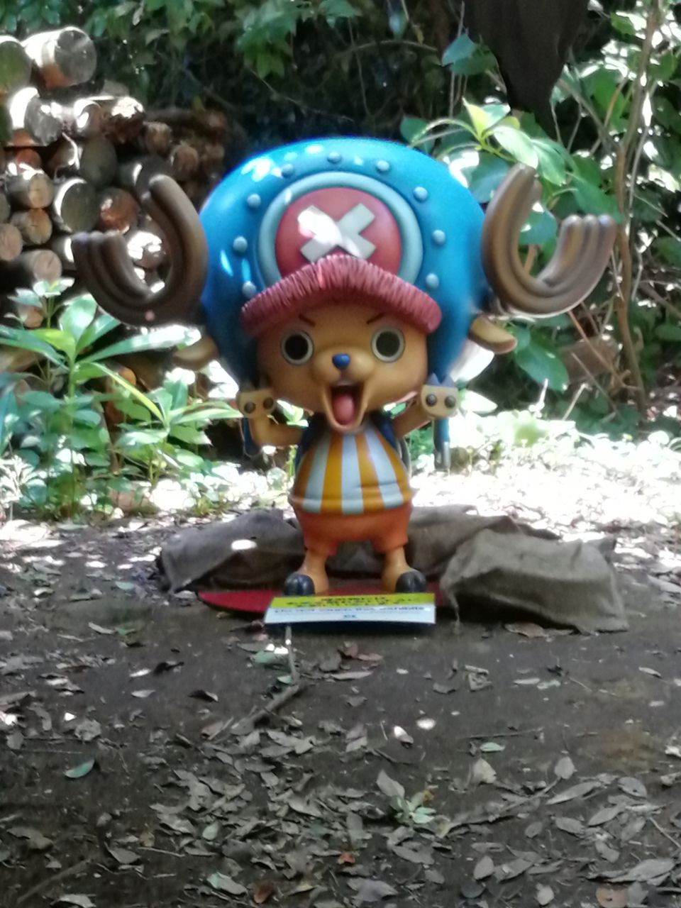 宴島 猿島 で見つけたワンピース等身大像とコスプレーヤーさん達 まさきのぶろぐ 旧 らぷとのぶろぐ