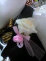 くま　ブートニア