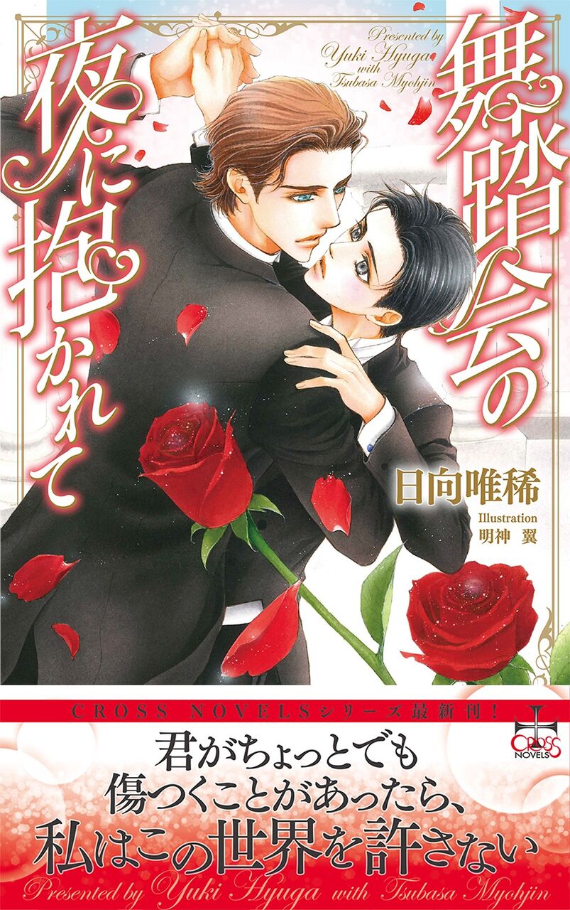 Rareplan 稀企画 No 181 舞踏会の夜に抱かれて 特典詳細付