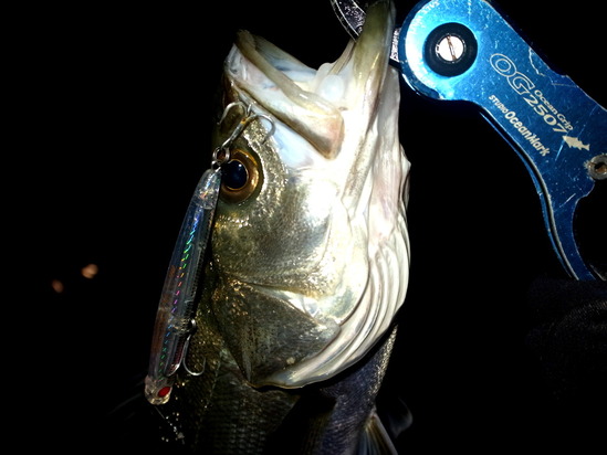 APIA PUNCH LINE slim 90