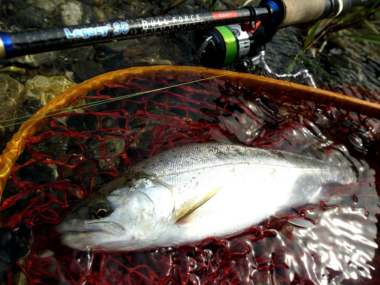 ��ή���ޥ�