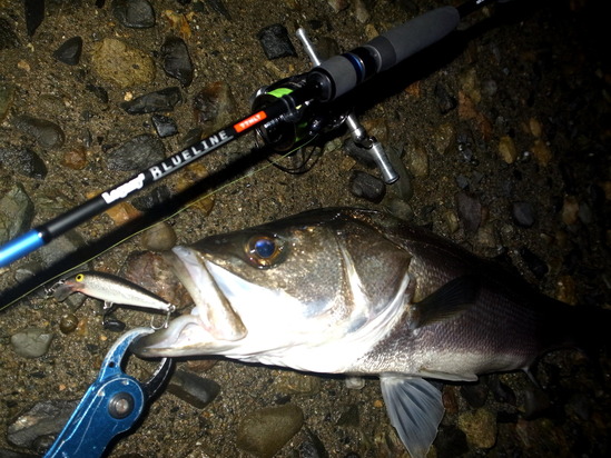 CD������å�����å�