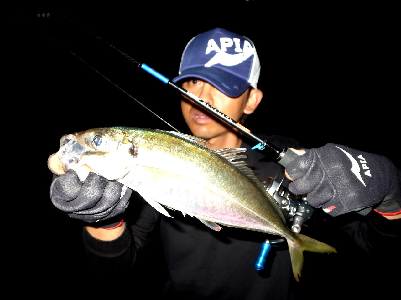 �����ގ̎ގ»���1