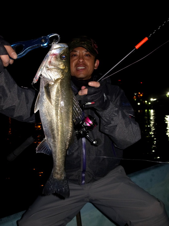 APIA PUNCH LINE slim90